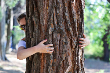 Debemos cuidar el medio ambiente en todo momento