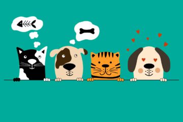 Fact check sobre los refranes e historias de mascotas en su Día Mundial de los Animales